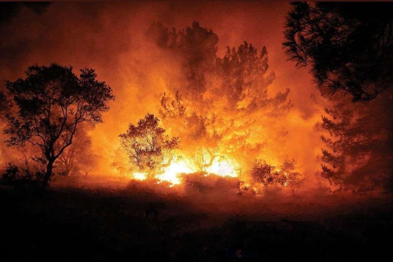 Antalya'da 3 ayrı noktada orman yangını